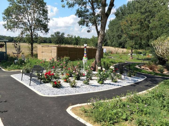 Studio Du Daudou Piscine Jacuzzi Partages Septfonds Eksteriør billede